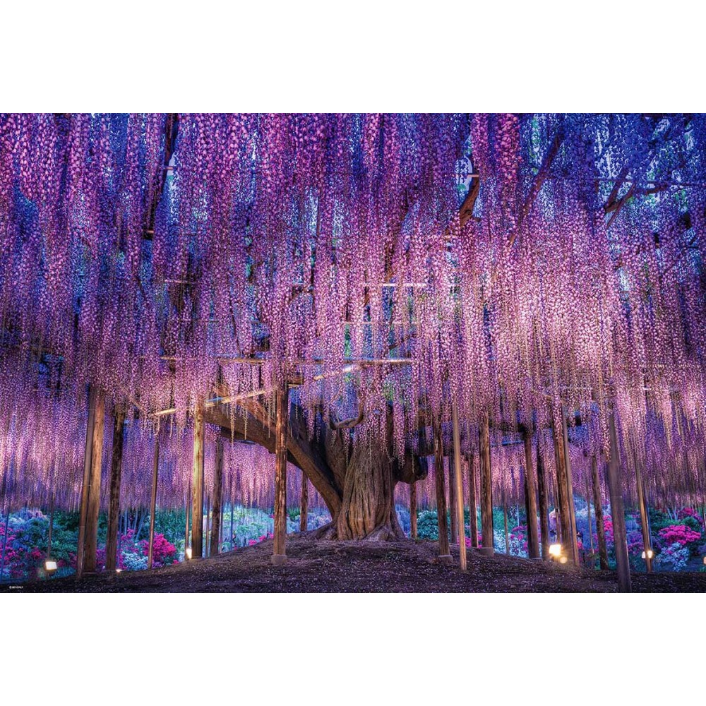 日本進口拼圖 Beverly 1000片 紫藤花幻想 蝦皮購物