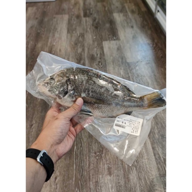 [小鮮肉亭生鮮]台灣野生新鮮 黑格/黑鯛 / 600g