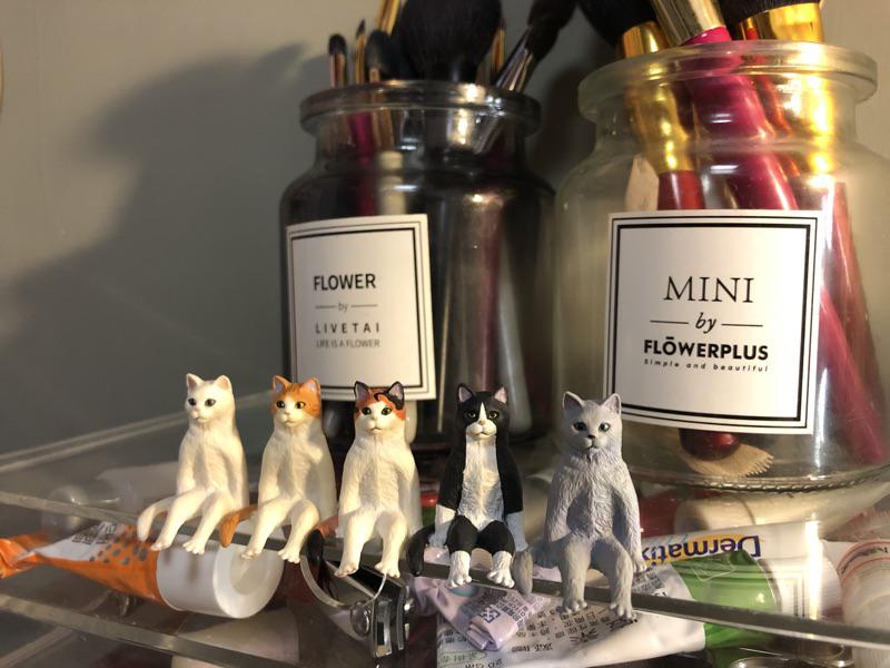 M M小舖 現貨 Kitan 轉蛋扭蛋不可思議動物 坐姿貓貓咪坐下坐著擺