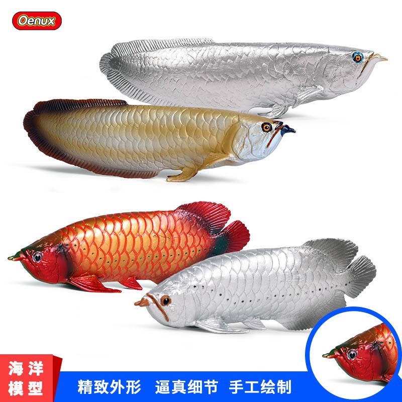 兒童實心仿真淡水魚鯉魚金龍魚銀龍魚紅龍魚海洋玩具模型擺件手辦 蝦皮購物