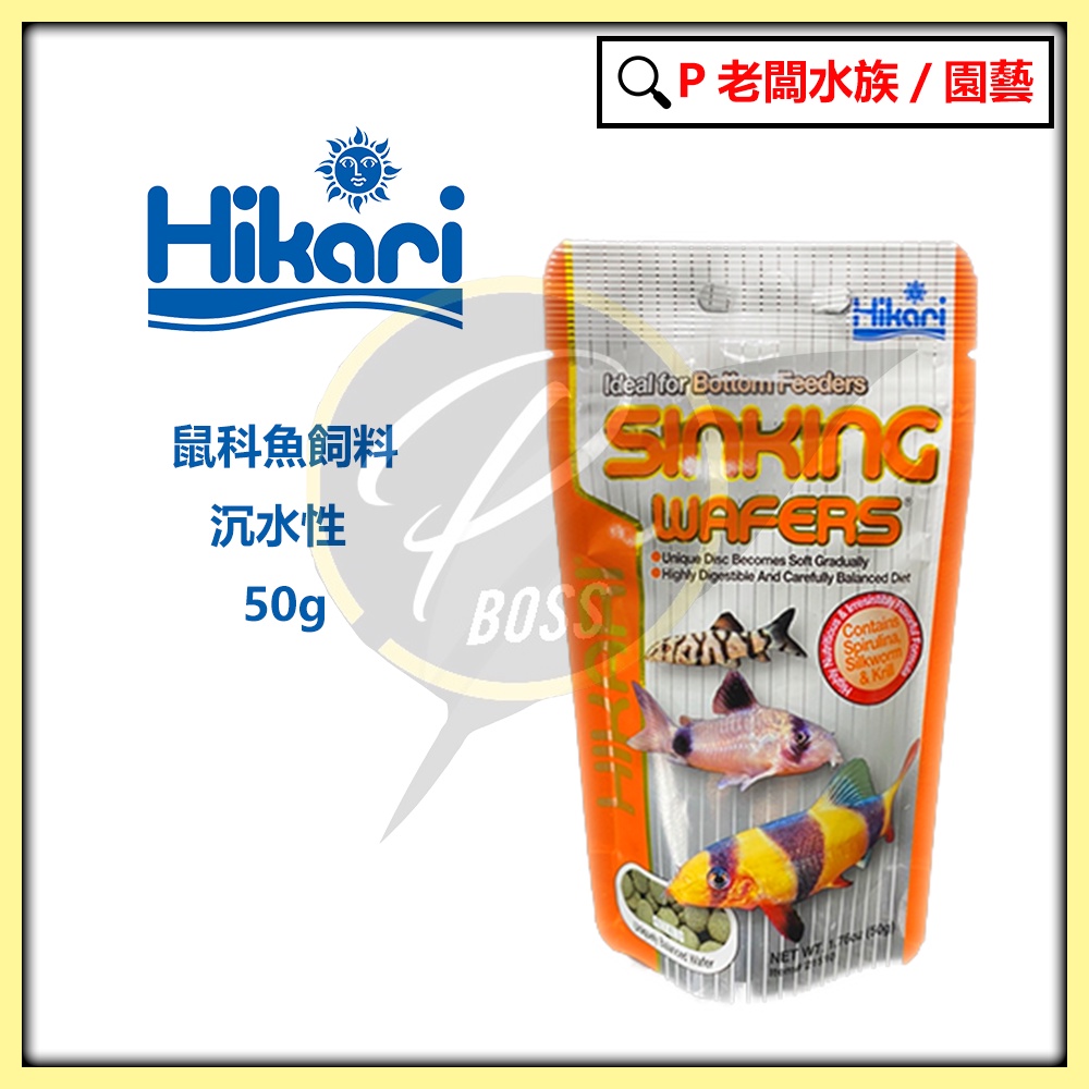 P老闆水族~Hikari 高夠力 鼠魚科底棲飼料 日本原裝 絕佳嗜口性 不易溶解 三間鼠 老鼠魚 熊貓鼠 白鼠魚