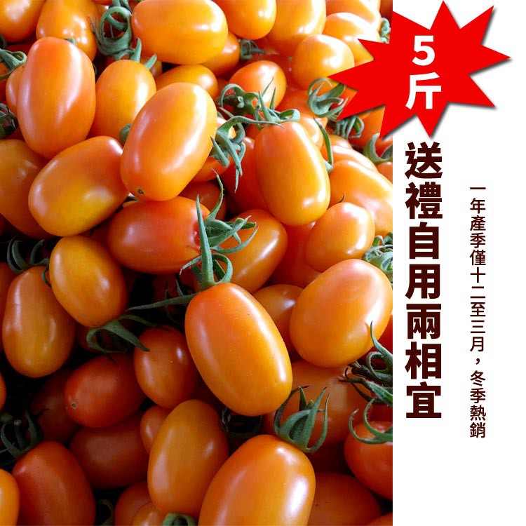 紅到日本的金瑩小蕃茄416（5斤紙箱裝）