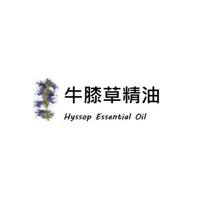 【露西皂材】ND 牛膝草精油 Hyssop Essential Oil (神香草)