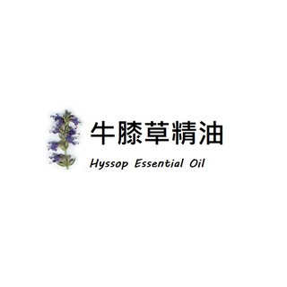 【露西皂材】ND 牛膝草精油 Hyssop Essential Oil (神香草)