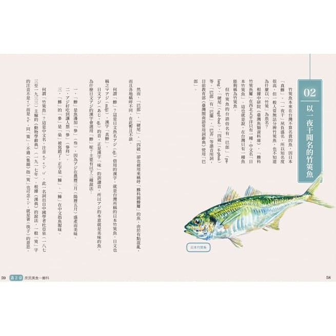 花飛 花枝 花蠘仔 台灣海產名小考 蝦皮購物