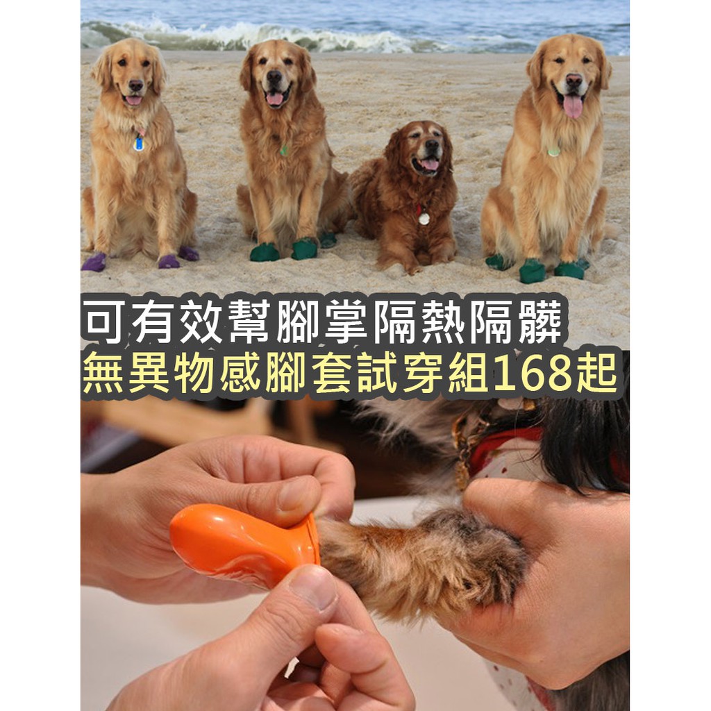 正版美國機能型腳套式環保狗鞋 保潔腳套 隔髒隔蟲 狗狗腳掌最適應的狗鞋試穿組 4足 下標區