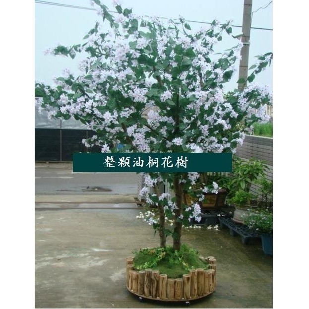 仿真油桐花樹材人造花材 人造花園藝裝飾塑膠盆栽造景裝飾塑膠花材塑膠油桐花樹枝塑膠油桐花朵人造油桐花樹材促銷人造植物