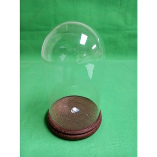 圓頂玻璃罩/玻璃展示盒/圓形玻璃罩A組