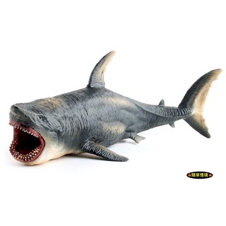 （高品質畫工肌肉表現）模擬 動物模型 大白鯊 鯊魚 大鯊魚 巨齒鯊 兇猛 海洋生物 野生動物 玩具 益智 公仔 SPG
