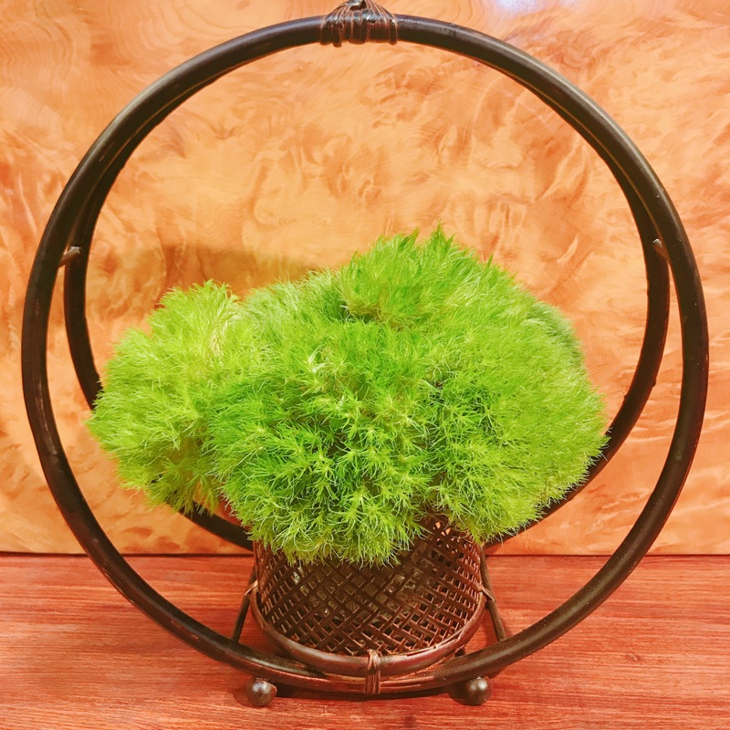 竹花器 蝦皮購物