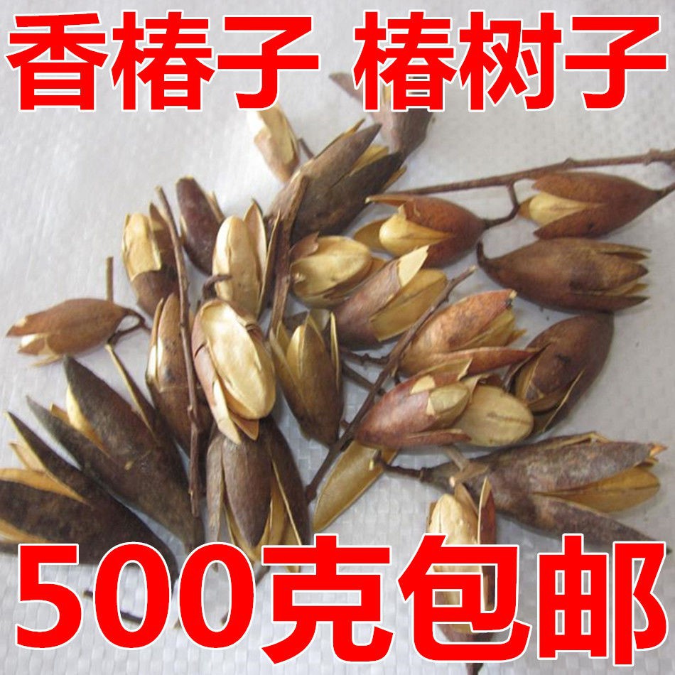 中藥材香椿子椿樹子椿芽樹花春尖花香椿鈴香椿子500g包郵 蝦皮購物