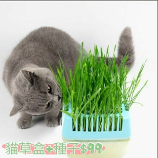 貓生野菜的價格推薦 21年3月 比價撿便宜