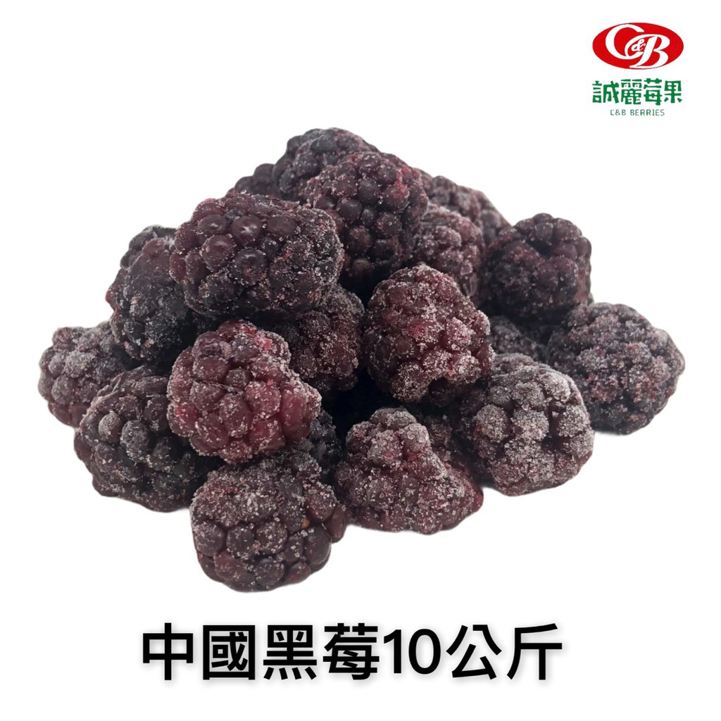 【誠麗莓果】IQF急速冷凍黑莓/中國產地/10KG/營業用