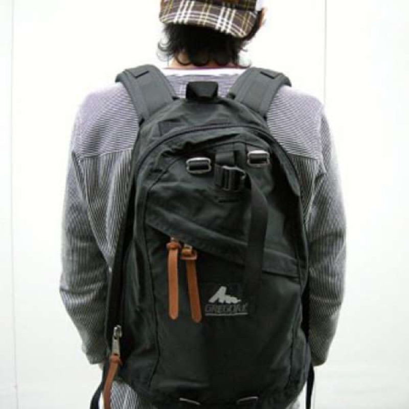 gregory day bag