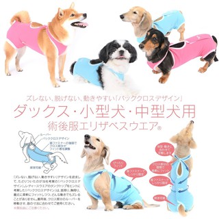 推進 動かす補足お嬢犬手術傷口 Izumiotsu Ed Jp