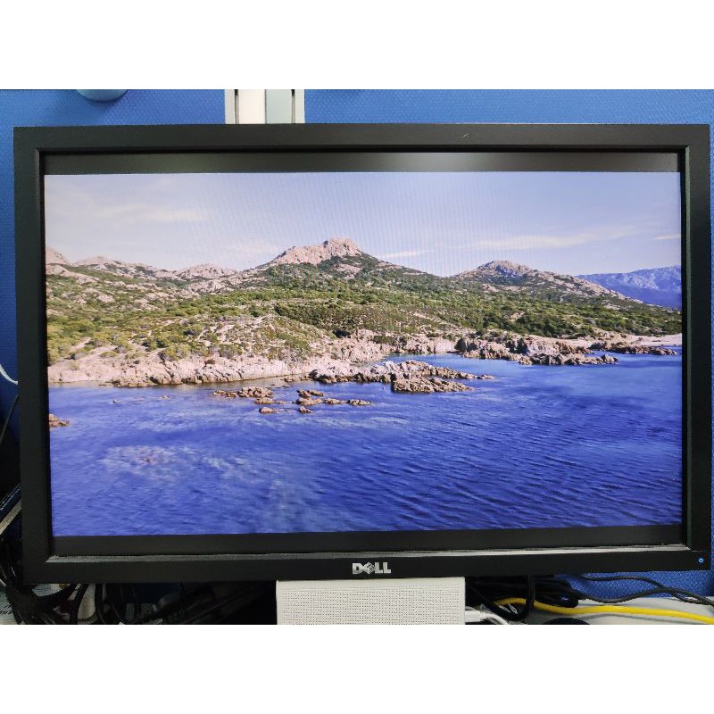DELL U2410