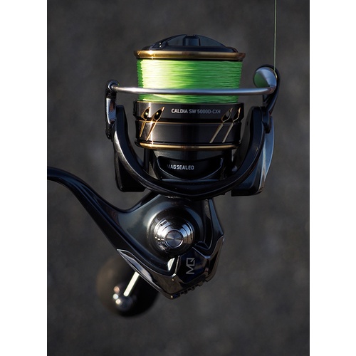 Daiwa 22 Caldia SW 大物 強力捲線器 海水 岸拋 路亞 鐵板 船釣 船拋 SLJ SLS MQ機身