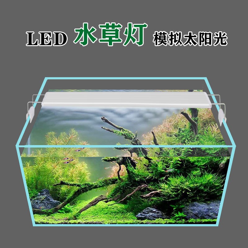 磬和千貨 魚缸燈水草燈水族箱照明燈節能草缸燈超亮led小型夾燈爆藻支架燈水族箱燈具 蝦皮購物