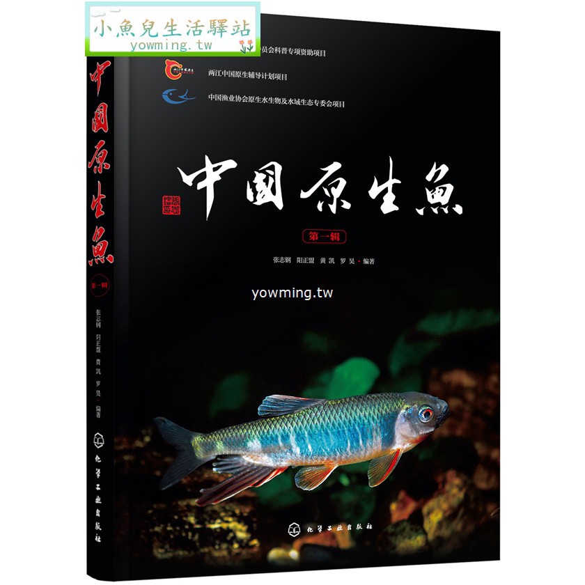 小魚兒生活驛站中國原生魚第一輯活體原生觀賞魚圖鑒書集中國特色原生魚種類介紹書籍淡水魚野生魚溪流冷水魚觀賞魚魚類科普書