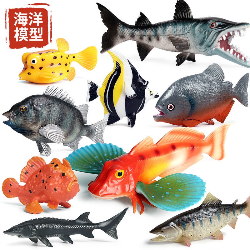 豪華で新しい 淡水魚 海水魚 用品 魚用品 水草 Susansilverantiques Com