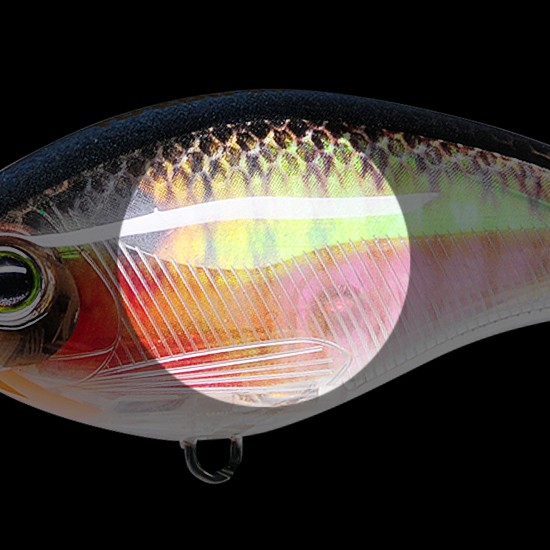 日本yo Zuri 3dr Shallow Crank F R1315 浮水米諾 蝦皮購物