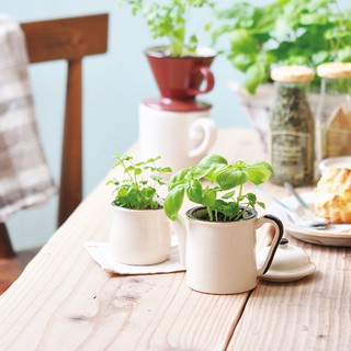 Verde Kitchen - KETTLE造型植栽盆器/咖啡茶壺 (正版授權/茶壺/CAFE/咖啡杯/咖啡壺/盆器)