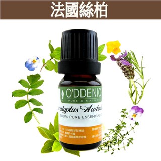 《歐丹尼》【法國絲柏純精油10m-50ml】優質單方純精油系列Cypress