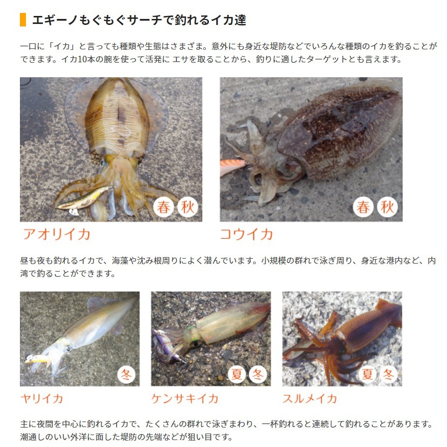 Yamashita Mogumogu 3 2吋木蝦王沙丁魚木蝦軟絲透抽花枝 全新新品 蝦皮購物