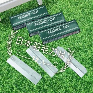 〖E hair〗 Feather 日本羽毛牌修眉刀片 專業理容刀片 羽毛刀片 平面刀片(10片/盒)q