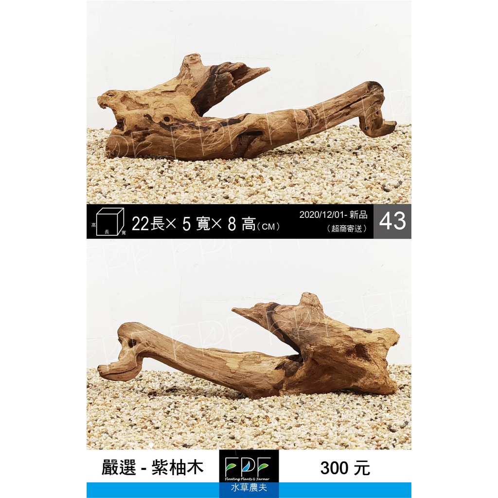 043 紫柚木 杜鵑木 天然流木 造景木 沉木 天然沉木 水族箱 水草箱 昆蟲箱 爬蟲缸 爬蟲箱 烏龜缸 蝦皮購物
