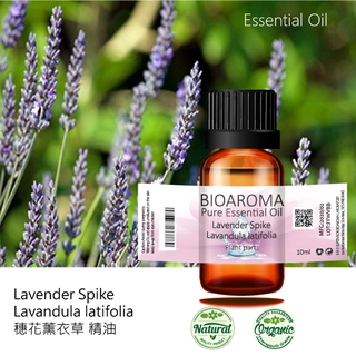 【正品現貨】穗花薰衣草精油Lavender Oil Spike - Lavandula latifolia 100ml