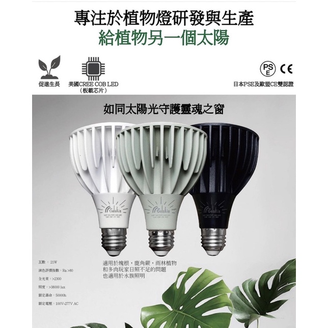 『現貨』全光譜LED植物生長燈 室內燈 塊根植物 多肉植物 觀葉植物 龍舌蘭 鹿角蕨  歐盟CE及日本PSE雙認證