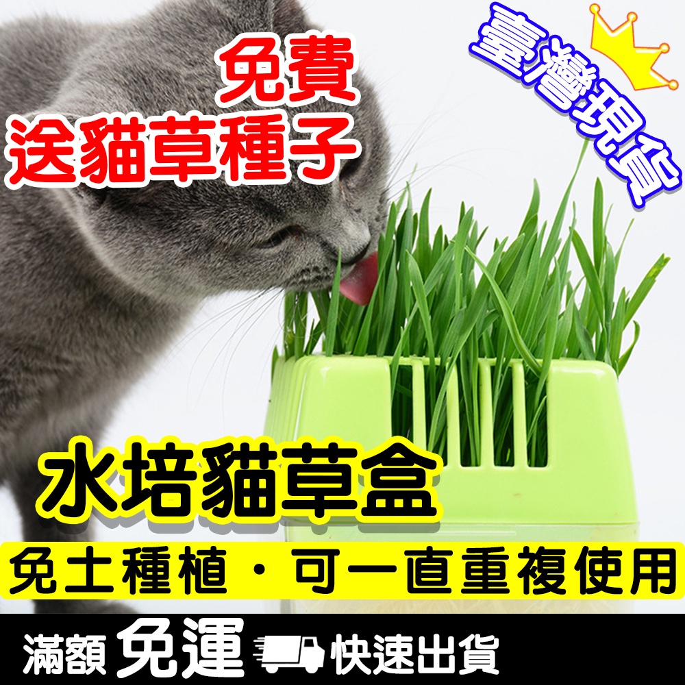 水培貓草盒的價格推薦 21年8月 比價比個夠biggo