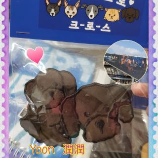 Hoony/Mino/Yoon/Jinu寵物別針cross 周邊 Winner 手燈造型鑰匙圈 姜昇潤金秦禹宋旻浩李昇勳