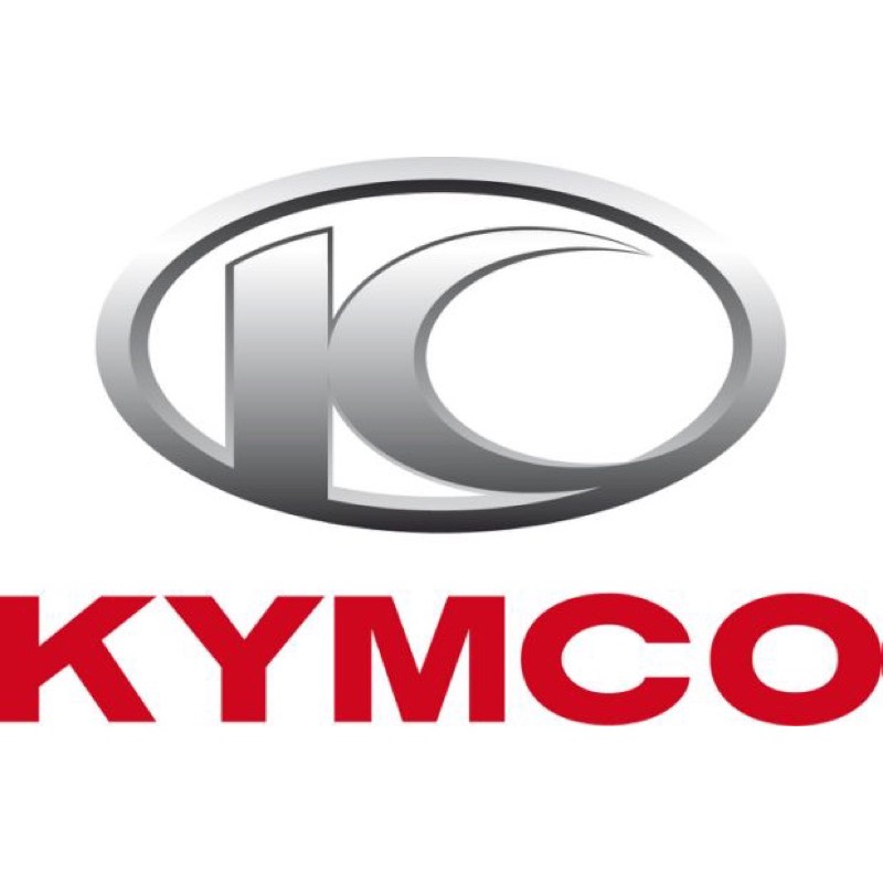 ✨KYMCO 光陽原廠 Many 鼓煞 煞車開關