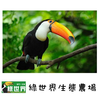 新竹【綠世界生態農場】 門票乙張