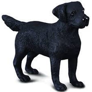 「芃芃玩具」COLLECTA動物模型 R88076 拉布拉多犬 模擬 教材 教學 貨號88076