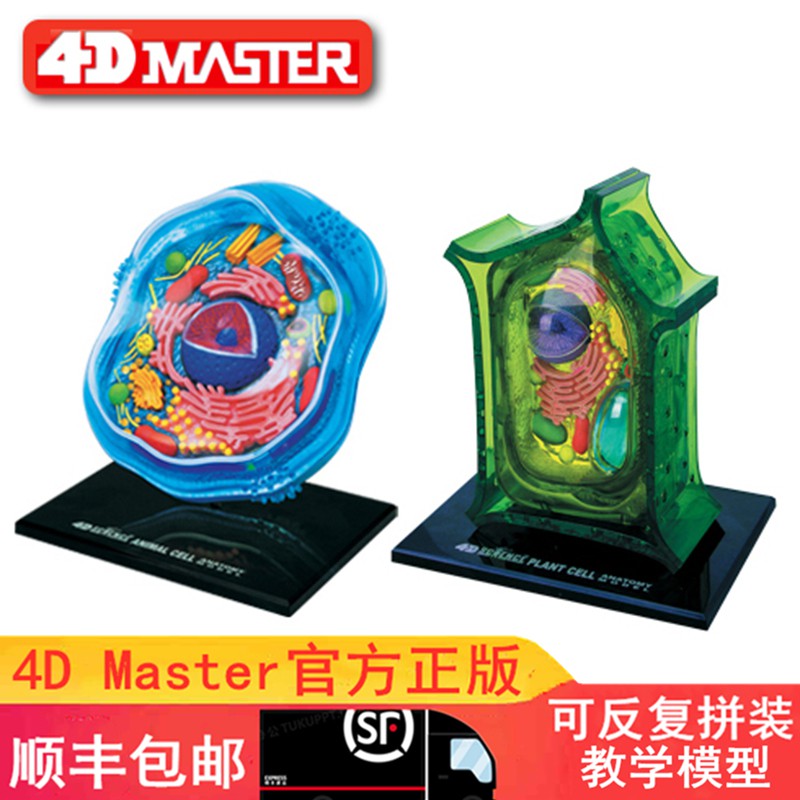 現貨 正品4d Master 動物細胞植物細胞拼裝模型2款可選醫學模型 蝦皮購物