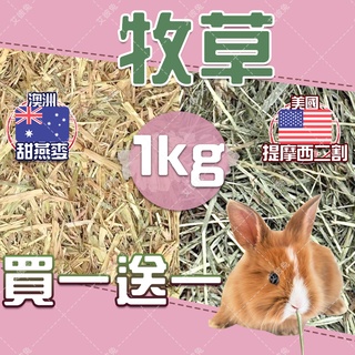 【台灣快速出貨】艾彼兔 提摩西二割 提摩西 兔草 牧草 兔子牧草 兔子草 新鮮牧草 提摩西草 提摩西一割 兔 提摩西 1