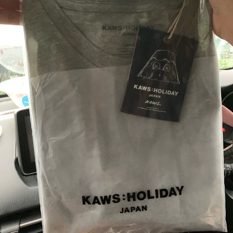 KAWS Holiday Japan 富士山限定灰色