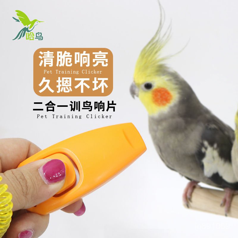 優選好物 哈鳥鸚鵡訓練響片+口哨  鸚鵡玩具 訓練用品 益智玩具 鸚鵡鳥玩具 2NuI