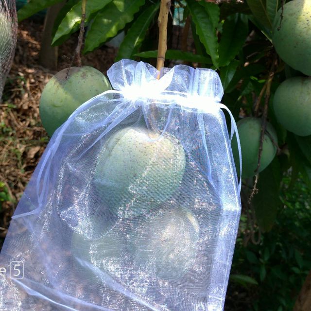專賣 瓜袋 雪紗袋 20*30cm，100個300元，白色