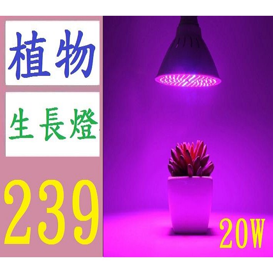 【台灣現貨免等】 20W植物生長燈泡 E27燈頭 led植物燈照臉美容燈20W補光燈多肉花卉育苗生長燈