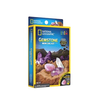 NATIONAL GEOGRAPHIC 國家地理 地質寶石迷你挖掘套組 現貨 廠商直送