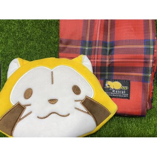 <玩具反斗鎮> 日本 正版 雜誌款 小浣熊 零錢包 購物袋 小吊飾 票卡夾 Rascal 拉斯卡爾 提袋 娃娃 便當袋