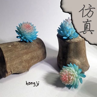 多肉 模擬多肉 微景觀 P40 假多肉植物 辦公室小物 療癒紓壓生日禮物拍照道具居家裝飾咖啡屋商店擺飾迷你木頭底座盆栽