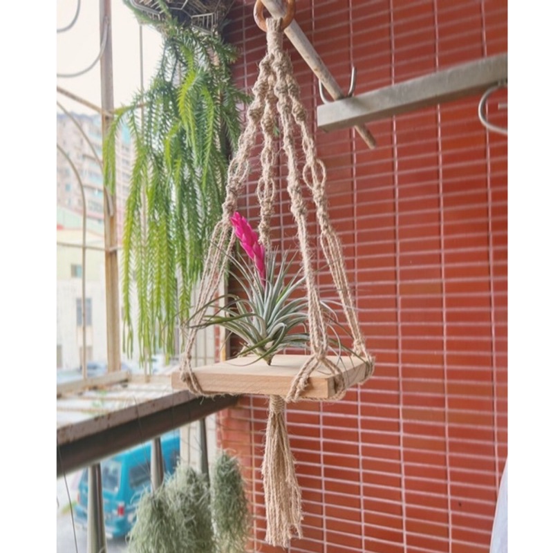 客製化 植物吊籃 植物台 裝飾 編織吊籃 麻繩編織 手工 客製尺寸 空氣鳳梨 空氣鳳梨吊籃「家家戶戶愛買」