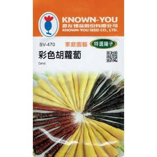 愛上種子 彩色胡蘿蔔 Carrot(SV-470) 農友種苗特選種子 早生 適應性強 適合搭配生菜 榨汁及煮食。