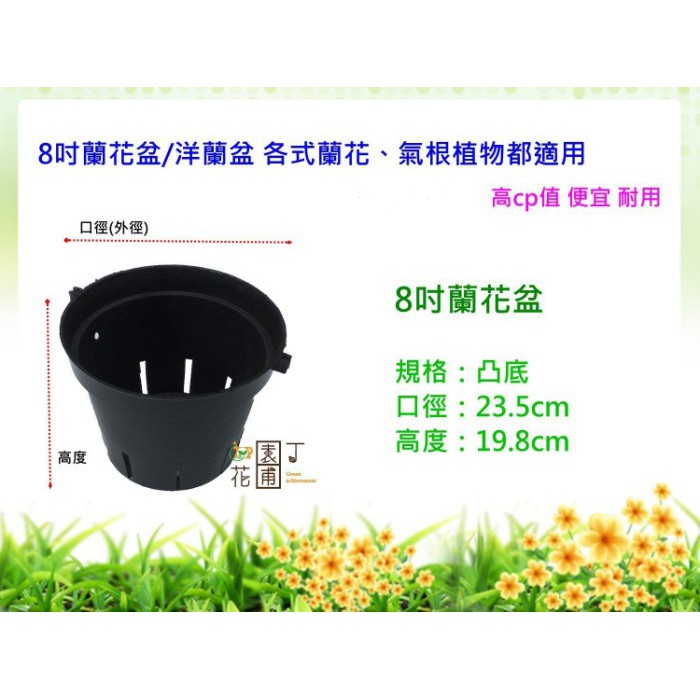 園丁花圃 花盆 基本款式栽培盆 蘭花種植專用盆 8吋蘭花盆洋蘭盆 黑盆 凸底凹耳盆 蝦皮購物