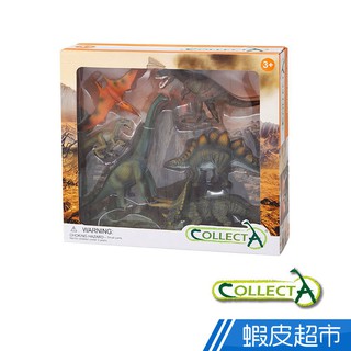 collectA 動物禮盒系列 英國高擬真模型 野生動物/ 草原動物/海洋生物 多款可選 廠商直送